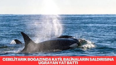 İspanya’nın deniz kurtarma hizmetleri, Cebelitarık Boğazı’nda Fas sularında bilinmeyen sayıda