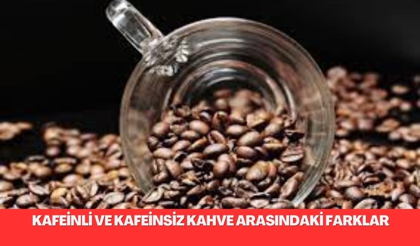 Kafeinli ve Kafeinsiz Kahve