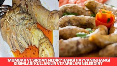 “Mumbar ve şırdanın hangi hayvanın hangi kısımlarından yapıldığını ve aralarındaki