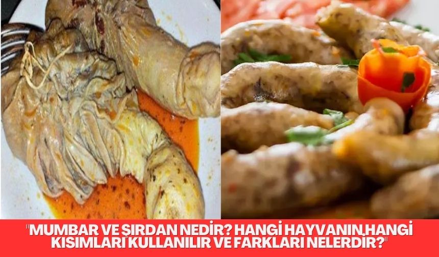 “Mumbar ve şırdanın hangi hayvanın hangi kısımlarından yapıldığını ve aralarındaki