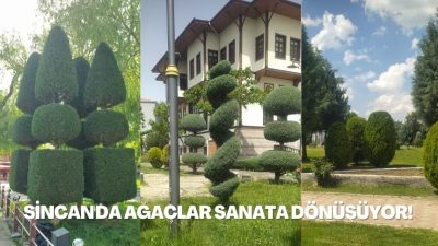 Sincan Belediyesi’nin Park ve Bahçeler Müdürlüğü ekipleri, marifetli elleriyle ağaçları