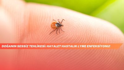 Doğanın Sessiz Tehlikesi: Hayalet Hastalık Lyme Enfeksiyonu!