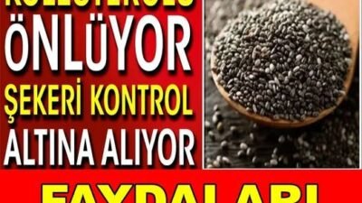 Yoğurdun içine yalnızca bir miktar atmak yeterli.. Dünya çapında süregelenliği
