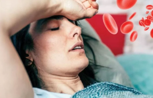 Sağlıklı bir yaşam sürmek için dengeli bir beslenme önemlidir. Vücut